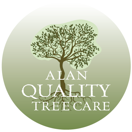 Alan Quality Tree Care